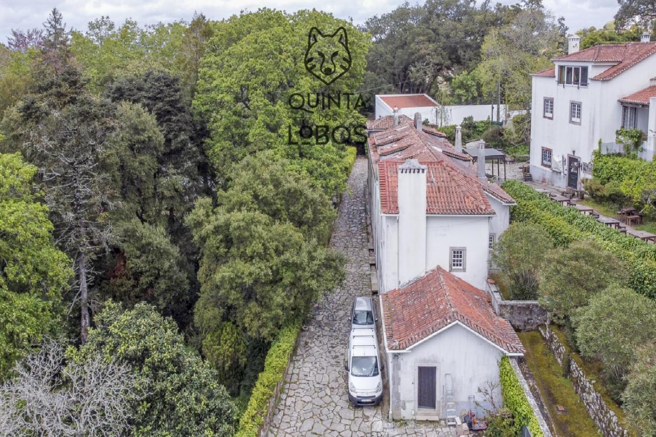 Quinta Dos Lobos Boutique Hotel - Nature Experience Sintra Bagian luar foto