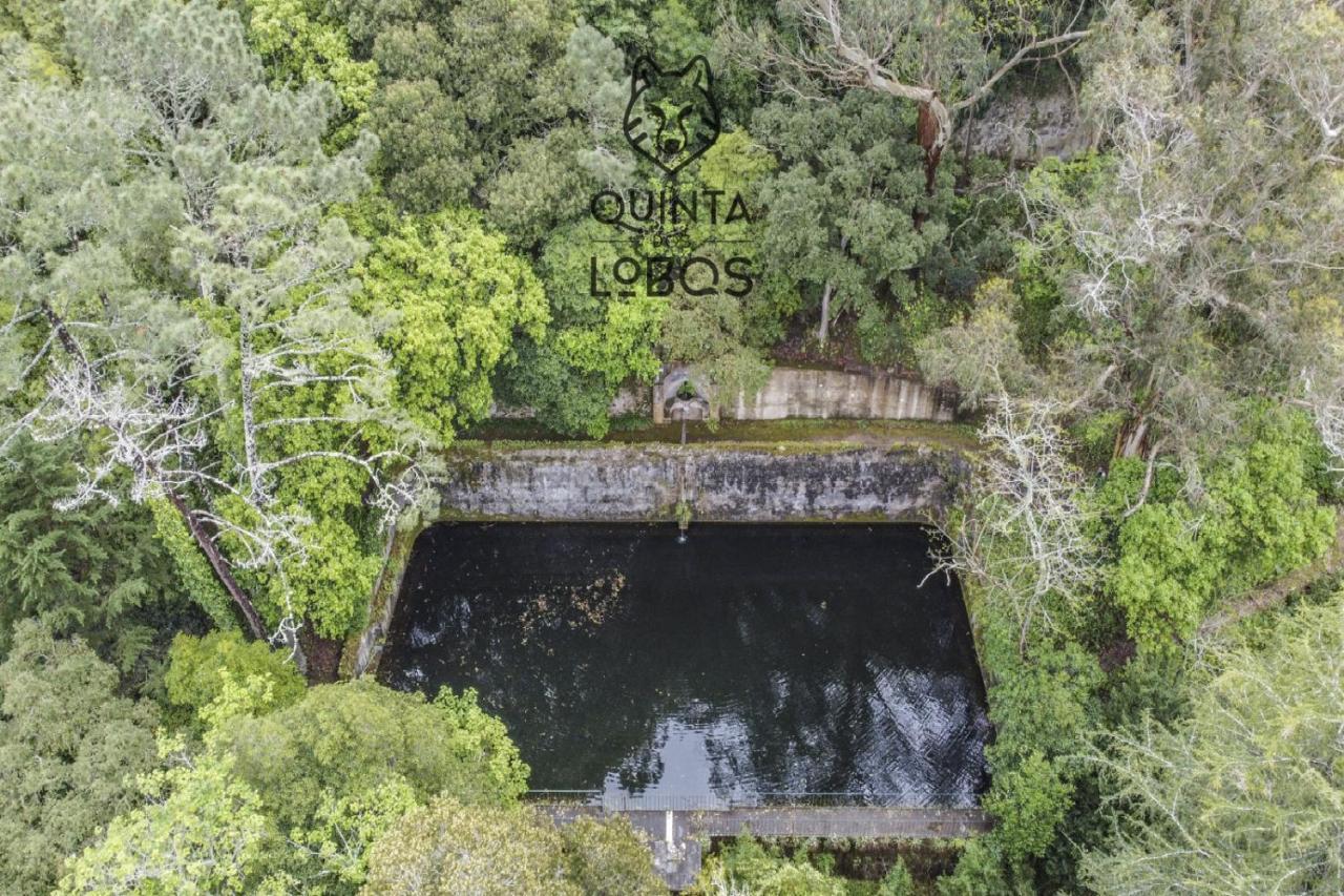 Quinta Dos Lobos Boutique Hotel - Nature Experience Sintra Bagian luar foto
