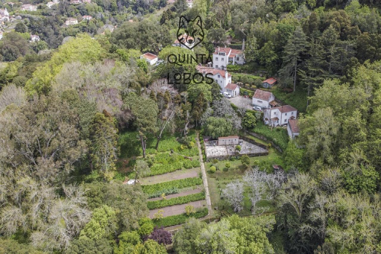 Quinta Dos Lobos Boutique Hotel - Nature Experience Sintra Bagian luar foto