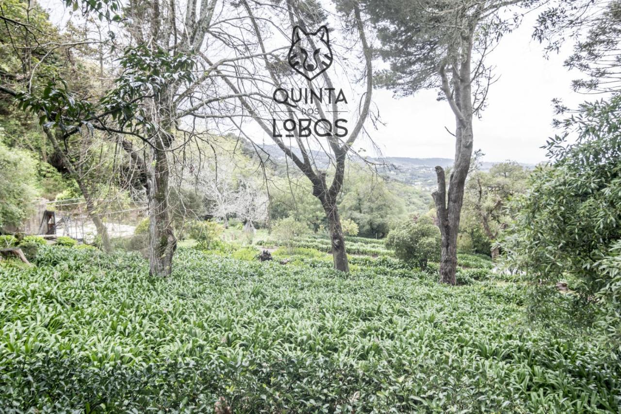 Quinta Dos Lobos Boutique Hotel - Nature Experience Sintra Bagian luar foto